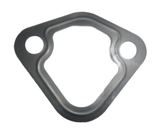 Fuel Pump Gasket