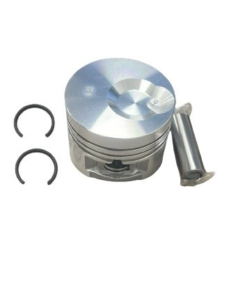 2502 287 PISTONE MOTORE LOMBARDINI LDW502