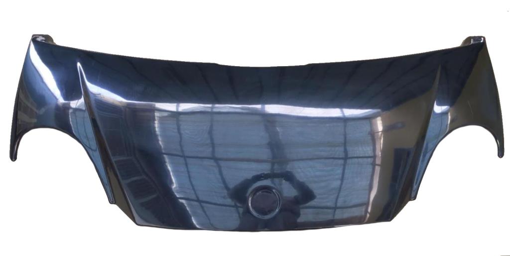Aixam Mega Multitruck bonnet 2007