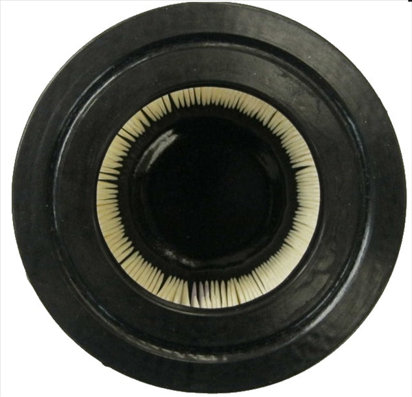 F0098000173 FILTRO ARIA MITSUBISCHI CASALINI M14