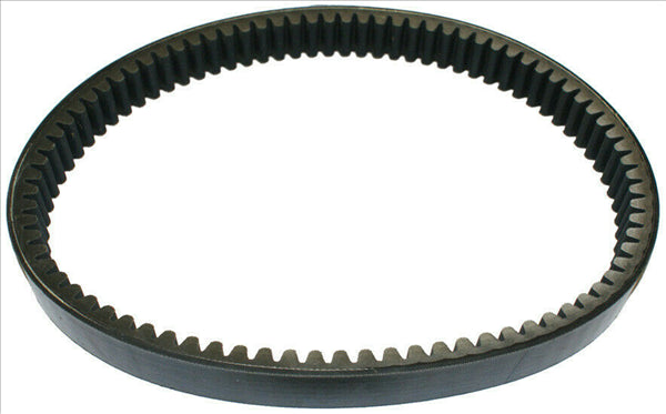 F0191000734 CINGHIA VARIATORE CASALINI M10 M110 M12 M14