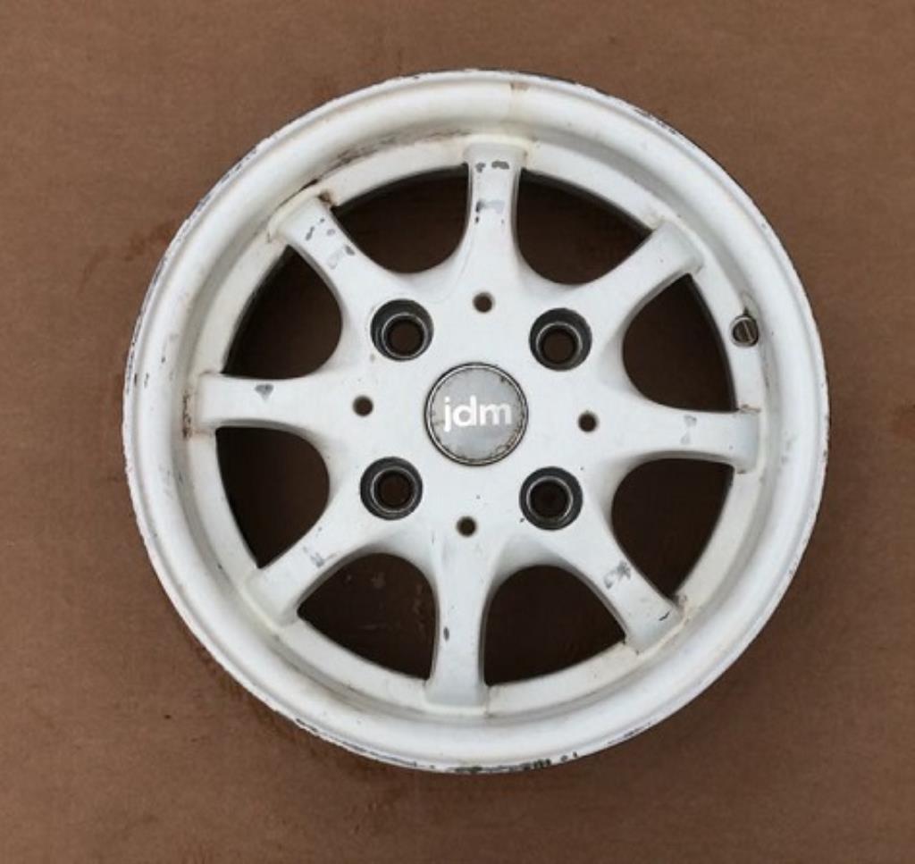 103003 CERCHIO IN LEGA 13 JDM ALBIZIA