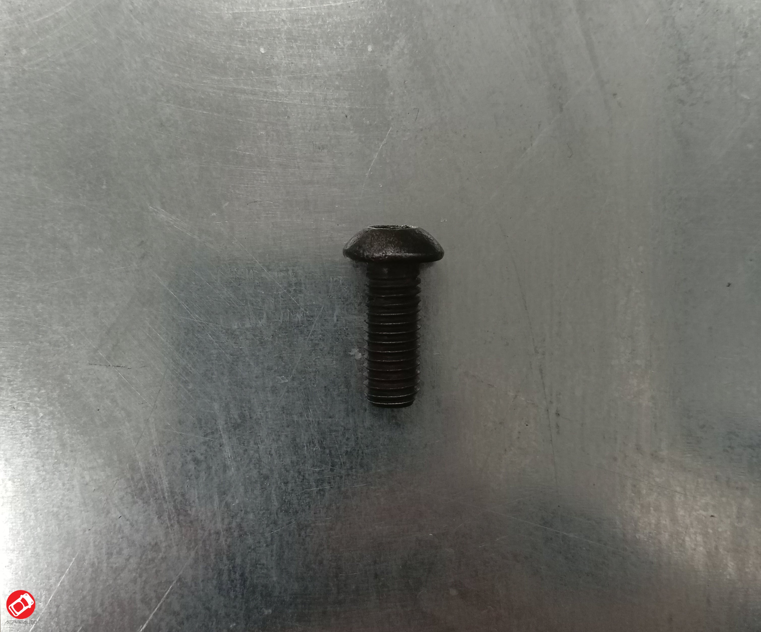 Disc Fixing Screw Size 8x20