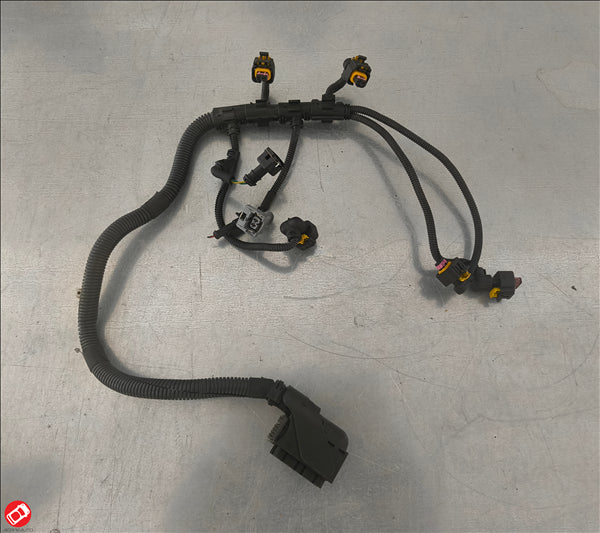 ED0021864000-S CABLAGGIO MOTORE LOMBARDINI LDW492DCI LDW480HDI
