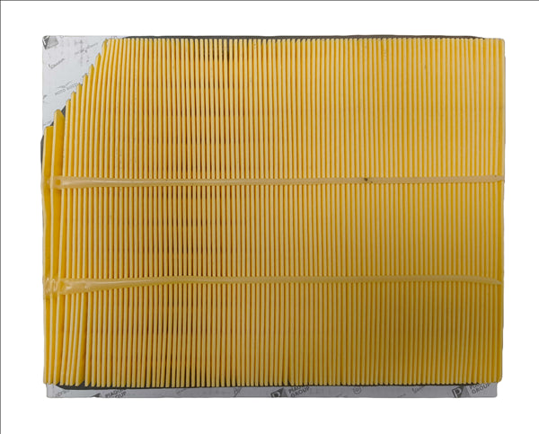 WET119218010A0 FILTRO ARIA PIAGGIO PORTER NP6