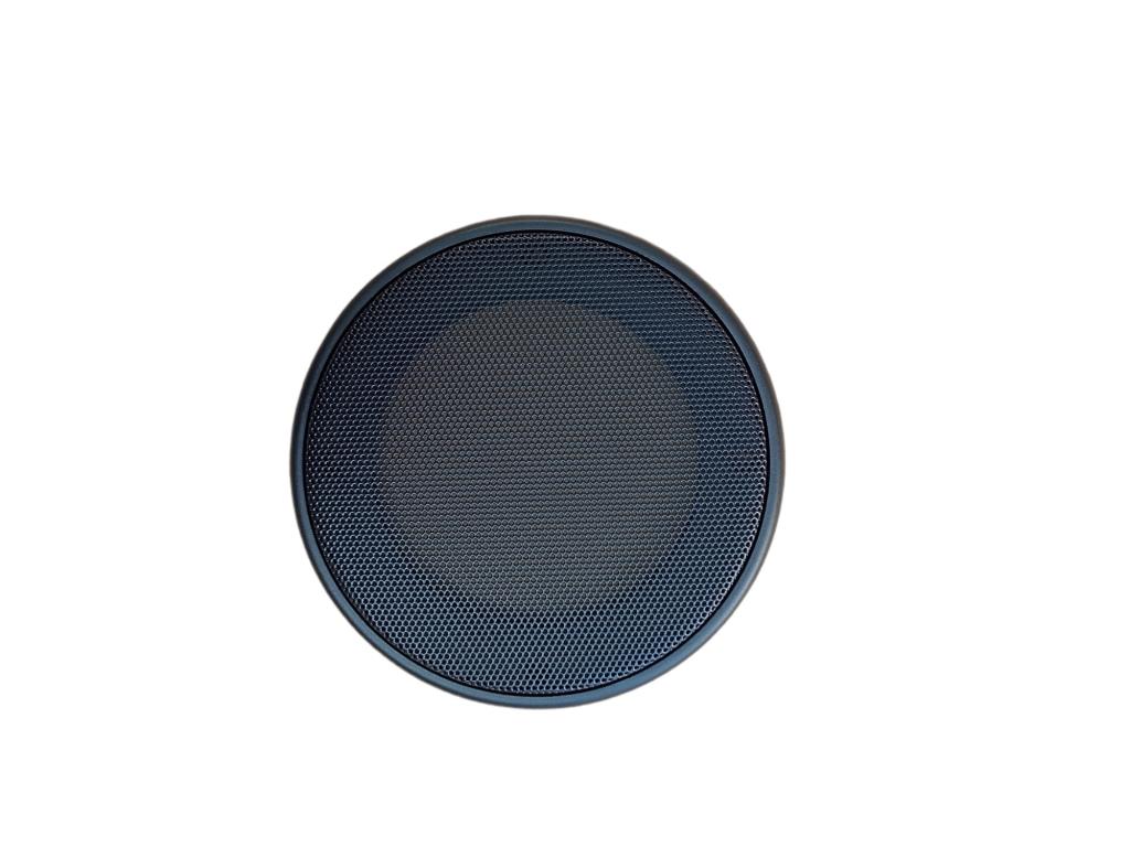 Speaker Grill D.100 Aixam 2013/16