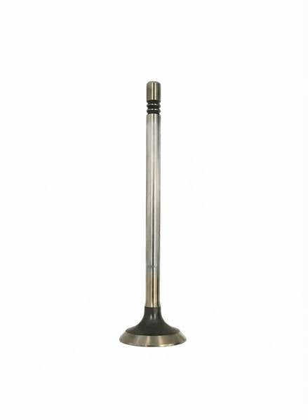 ED0096851870-S VALVOLA SCARICO MOTORE LOMBARDINI LDW442 492 480