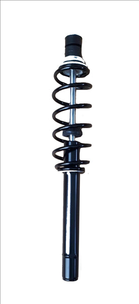 Front shock absorber Ch V2 39 40