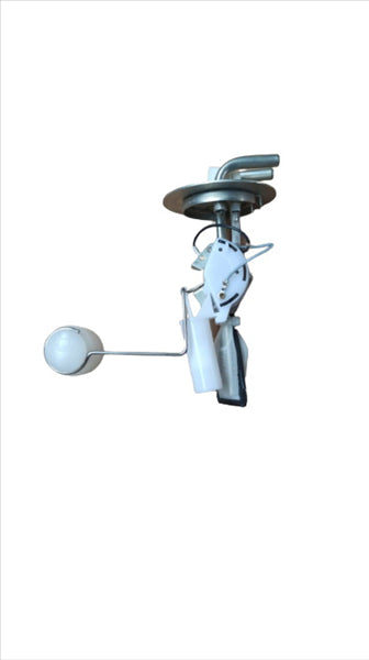 Serbian float. Aixam 2010/20