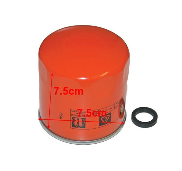 FILTRO GASOLIO LOMBARDINI BELLIER CHATENET LIGIER MICROCAR TASSO