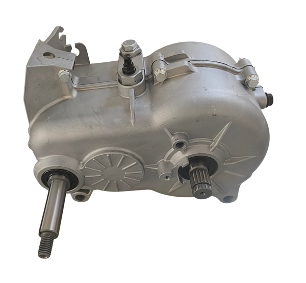 3AA001A CAMBIO RIDUTTORE DIFFERENZIALE 1:8 AIXAM