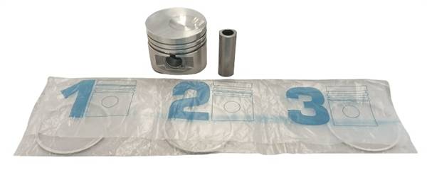 ED006501429-S PISTONE + SERIE SEGMENTI +1,0 MOTORE LOMBARDINI LDW502