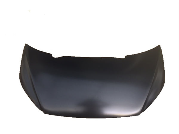 Ext. Bonnet Panel Aixam Gamma Sensat