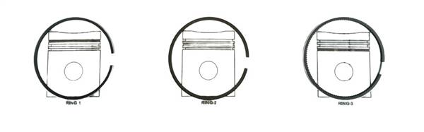 8211 142 SERIE SEGMENTI PER UN PISTONE + 0.50 MOTORE LOMBARDINI LDW502