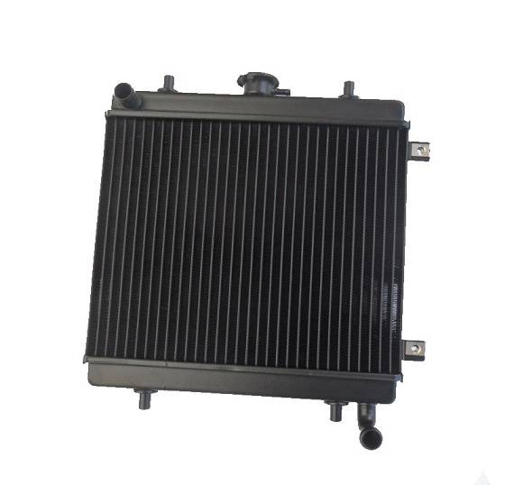 BAF57-0007517 RADIATORE ACQUA GRECAV EKE LM4 LM5 SENZA TAPPO