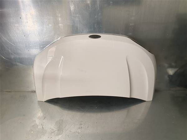 1417495 COFANO ANT. MICROCAR MGO6 DUE6