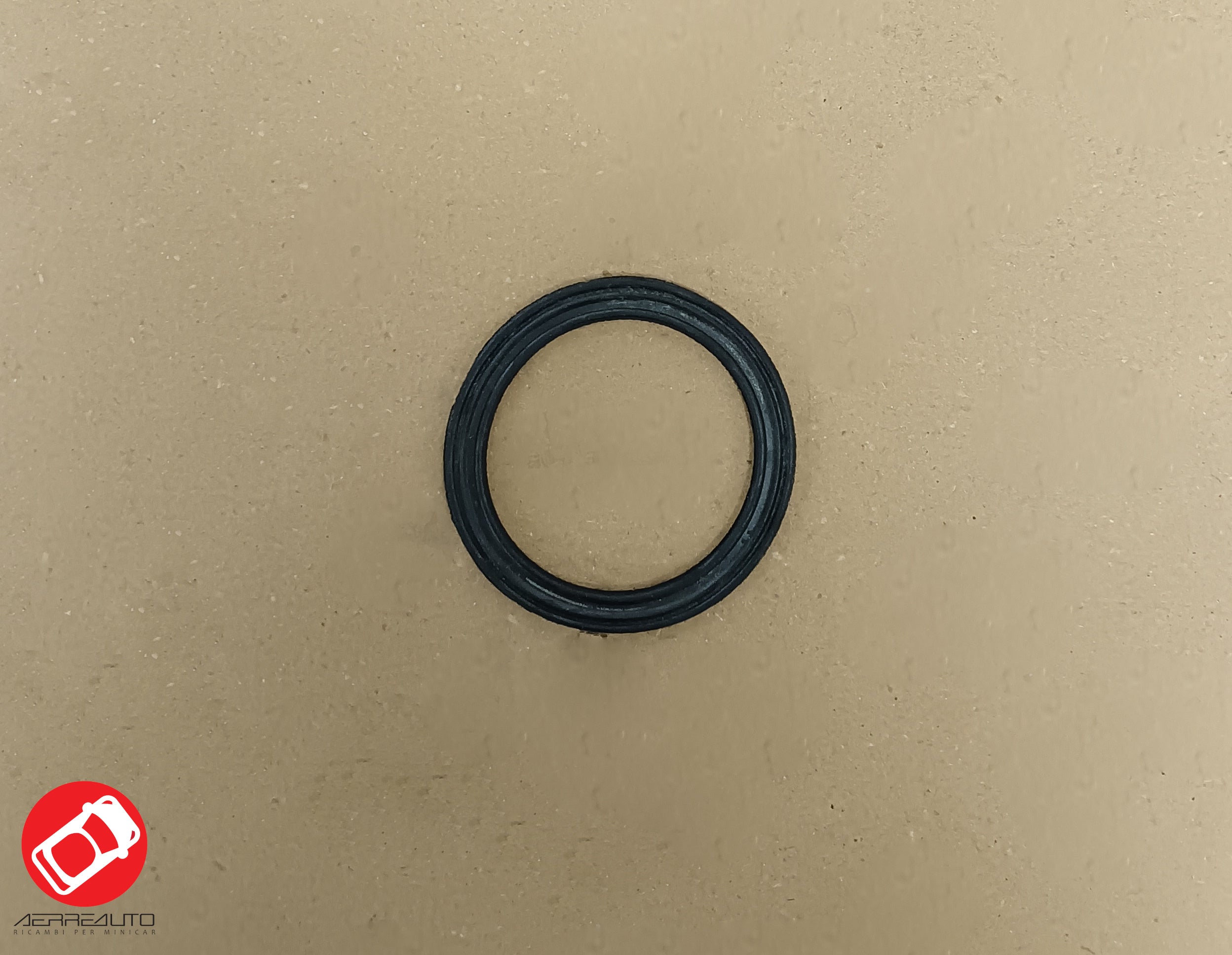 Level Probe Gasket Carb. Aixam 97/08