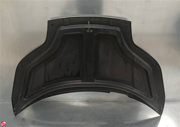 207050 COFANO ANTERIORE JDM ALOES